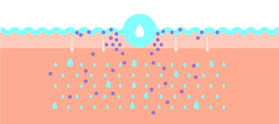 Glicosaminoglicanos en cosméticos: Impulsando la penetración de la piel con una hidratación profunda