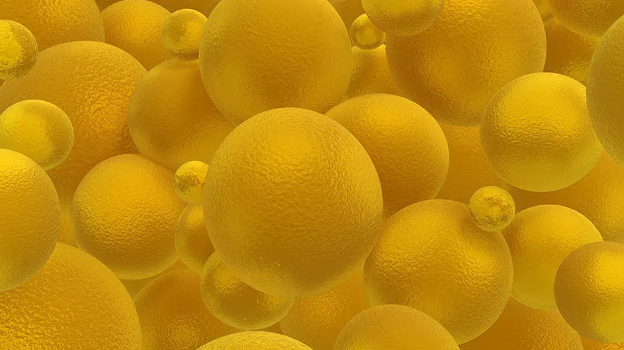 Liposomas vs Liposomal: Entendiendo las Diferencias y Usos en Medicina