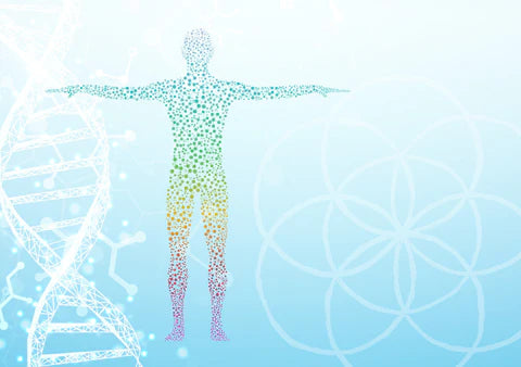 Enfrentamiento de genealogía: Comparativa entre tellmeGen y 23andMe