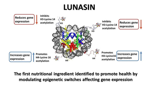 Lunasina: El súper alimento clínicamente probado