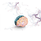 Colgenium:  Prolina (PRP) aislado del calostro + VIT B6 Colgenium:  Prolina (PRP) aislado del calostro + VIT B6