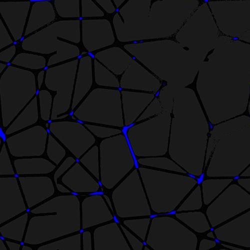 Negro y Azul | Mascarillas Deanshield para Jovenes 😷 | UNE 0065