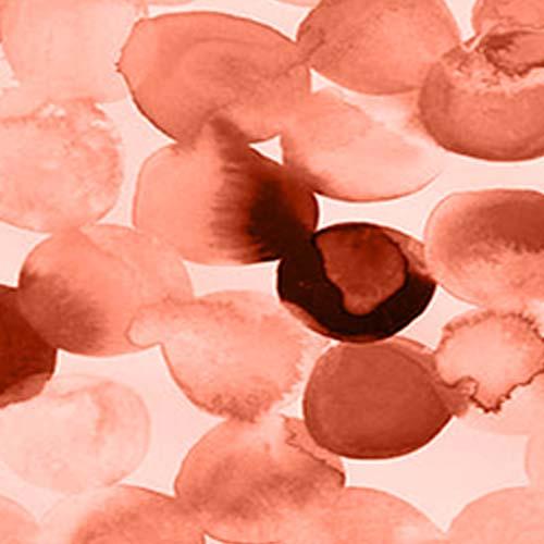 Petalos Rosa | Mascarillas Hemera para Adultos | Modelo Miranda | UNE 0065