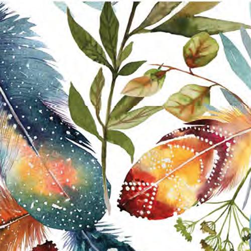 Plumas | Mascarillas Deanshield para Adultos 😷 | UNE 0065