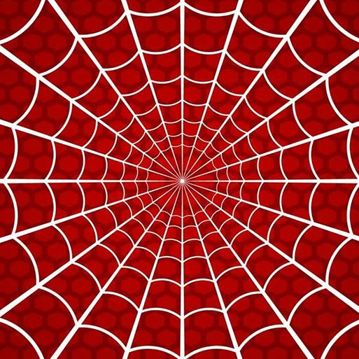 Spiderman | Nuevos Modelos | Mascarillas Lavables 2021 | UNE 0065