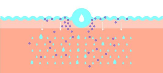 Glicosaminoglicanos en cosméticos: Impulsando la penetración de la piel con una hidratación profunda