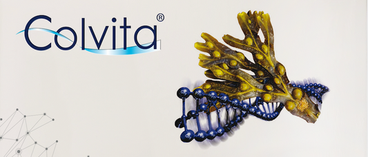 Colvita: La excelencia en suplementos de colágeno