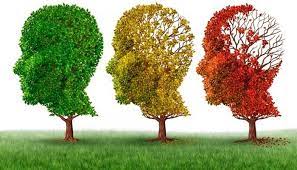 ¿Es hereditario el Alzheimer? La influencia de la genética en la enfermedad.