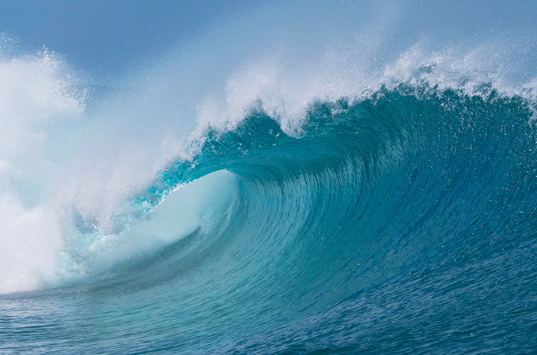 El Colágeno Marino de Colway: La Solución Natural y Efectiva para una Piel Sana y Hermosa