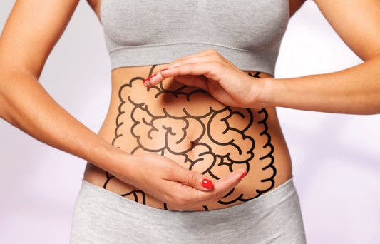 La Salud del Intestino: Importancia, Consejos y el Papel de Symbiocol de Colway en la Mejora de la Salud Digestiva