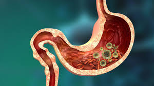 Prueba de huevos y parásitos: Detectando infecciones parasitarias intestinales