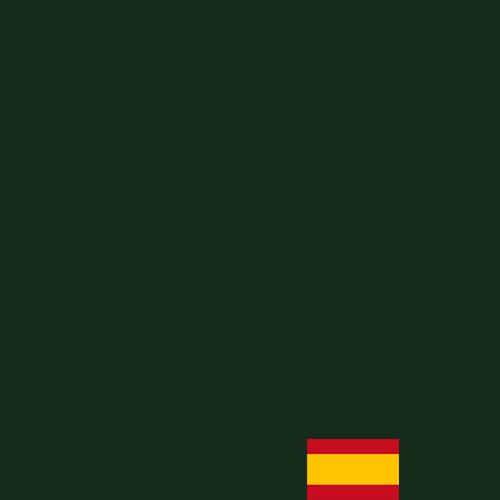 Verde con Bandera España | Mascarillas Deanshield para Adultos 😷 | UNE 0065